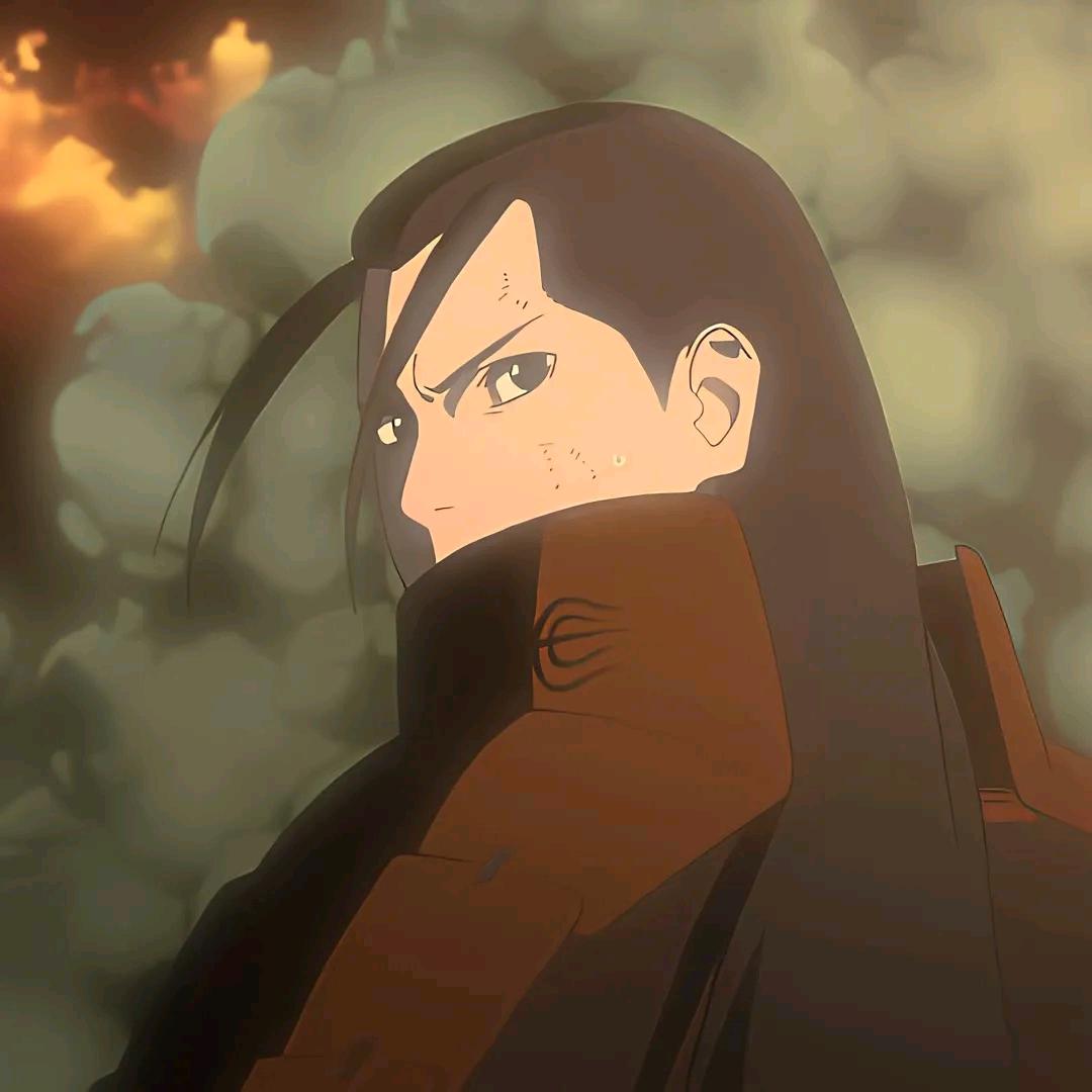 木禾
