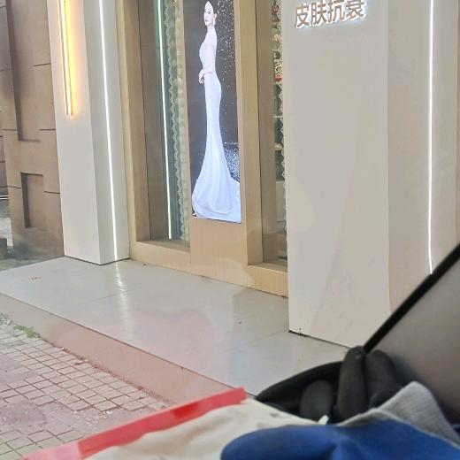 金诗楠桂