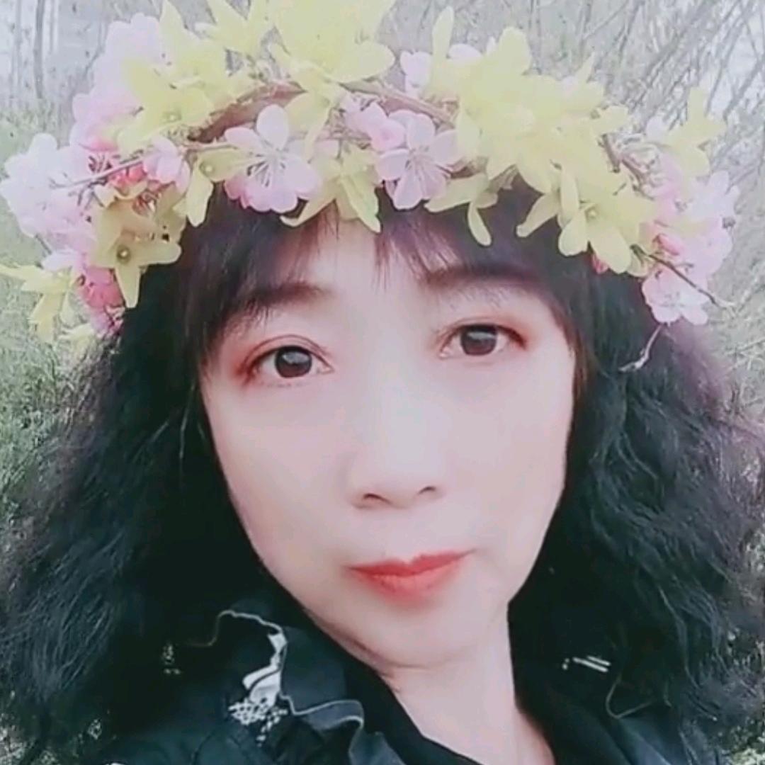 紫玉（停播学习中）