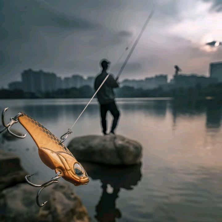 鼎鼎ai钓鱼