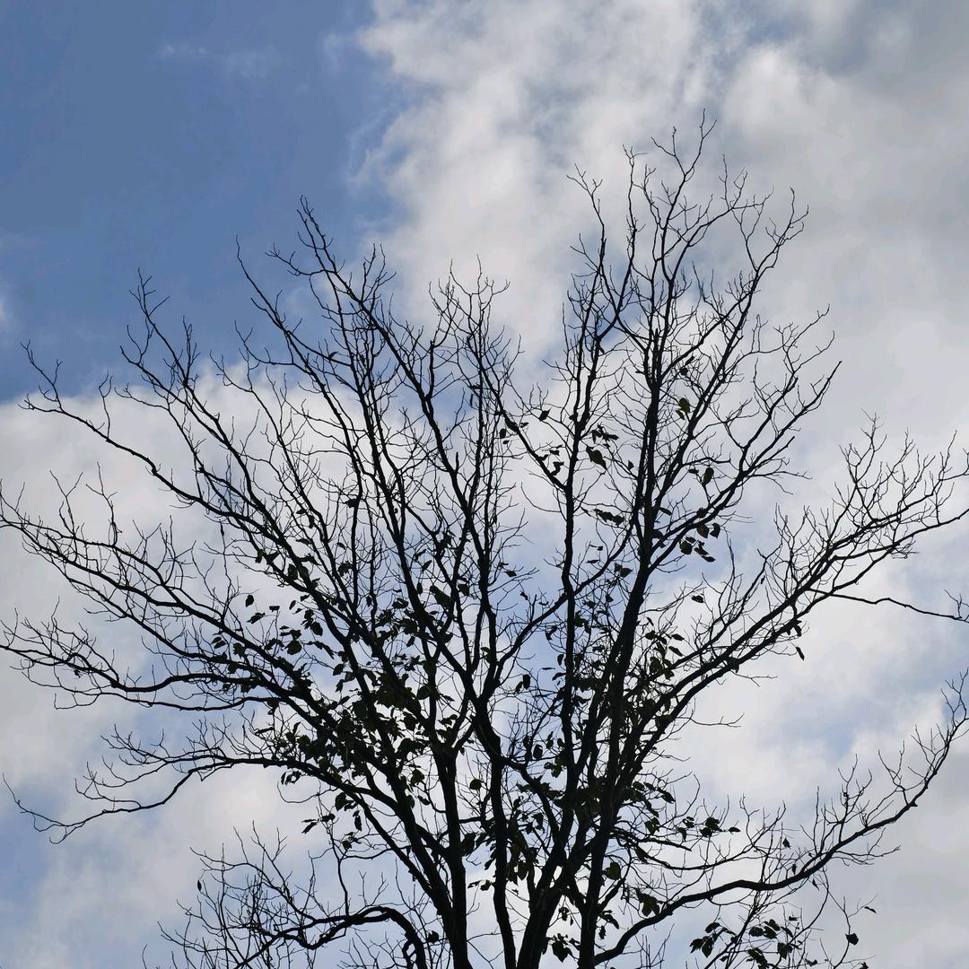 钓不到鱼就抓虾