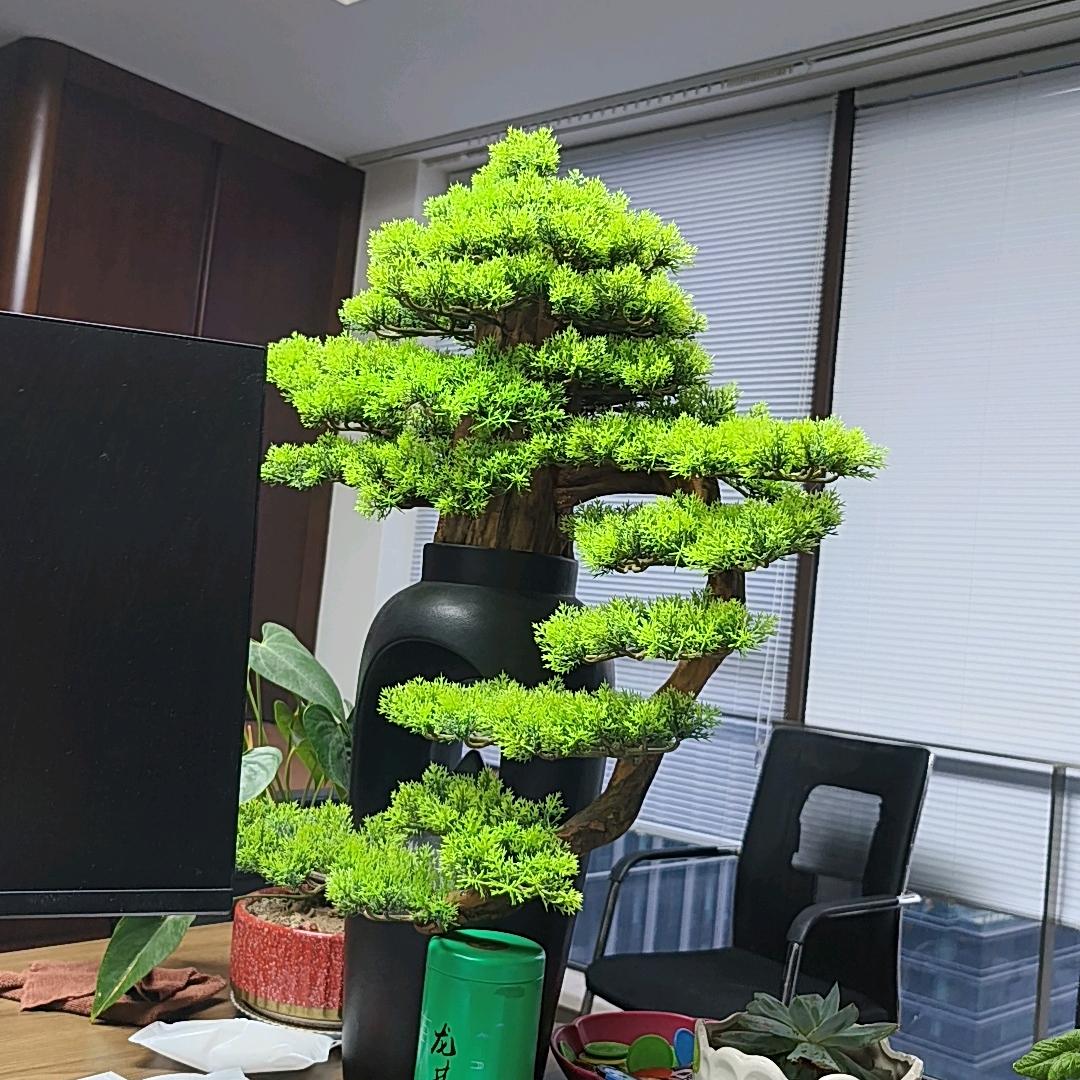 刘老师家政