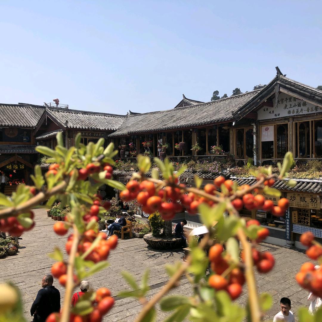 是小夏啊🐒
