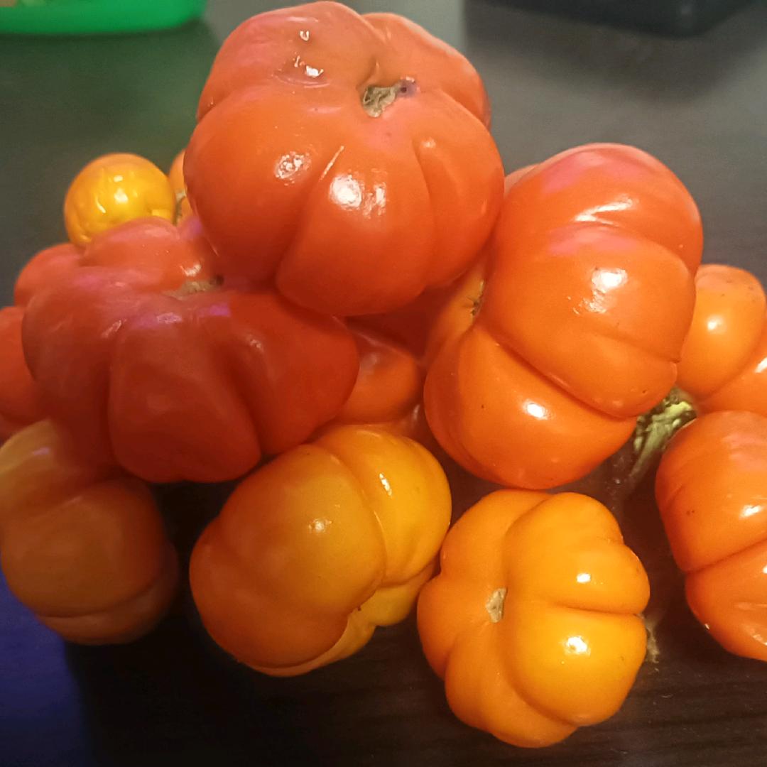 🤪小蜜桃