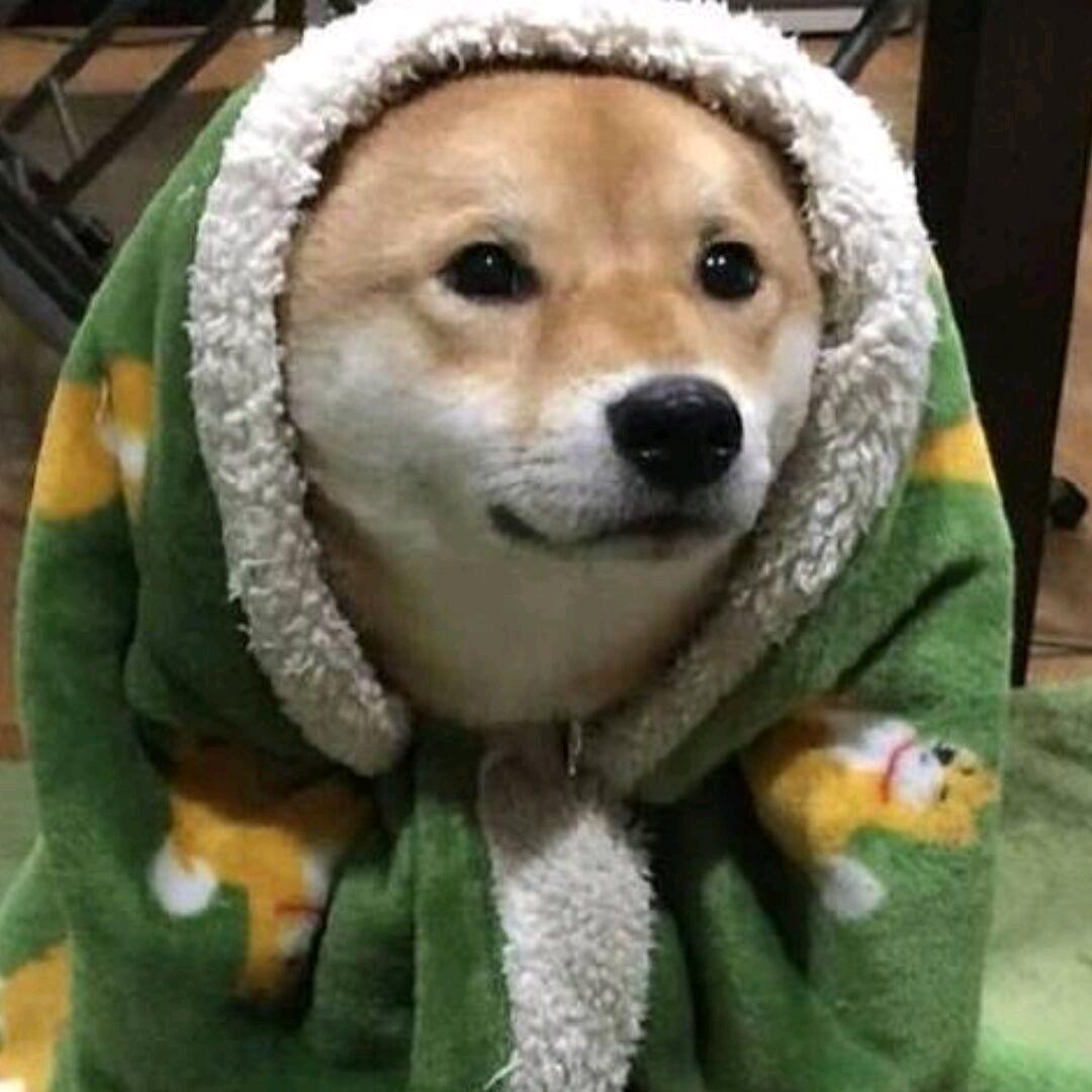 骑猪创死你！！