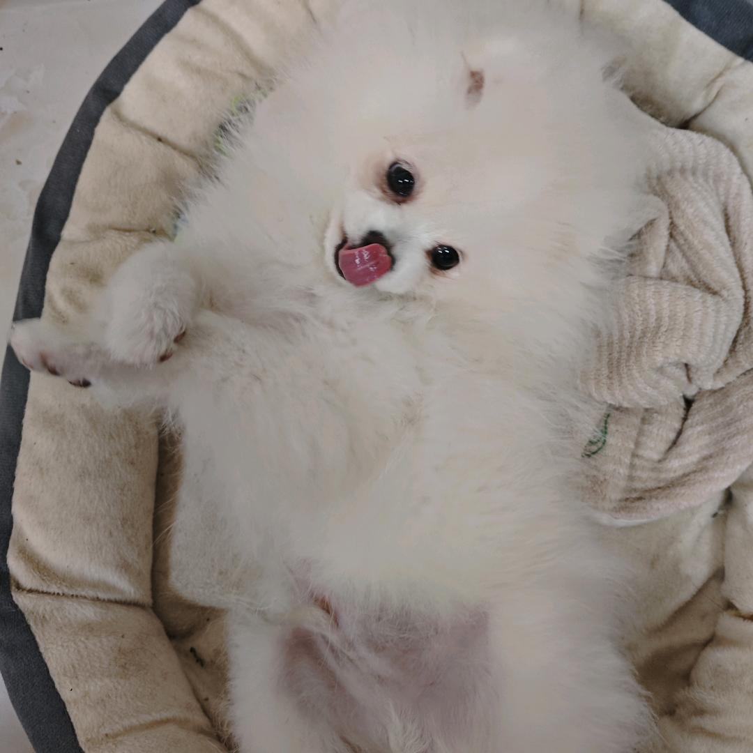 独立奔放
