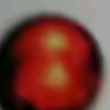 水里笑口常开游的