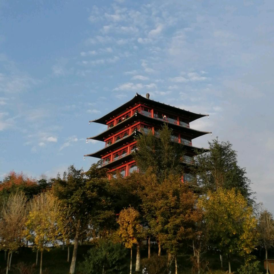 @鸿雁578