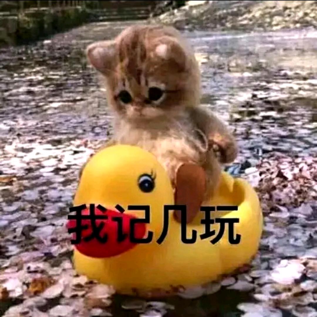 小花花