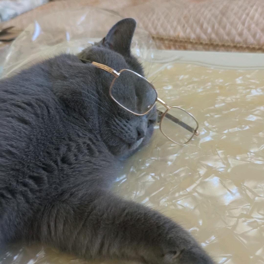 忘了怎麽心痛