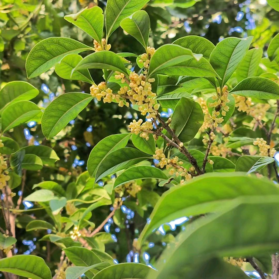 珍惜彼此