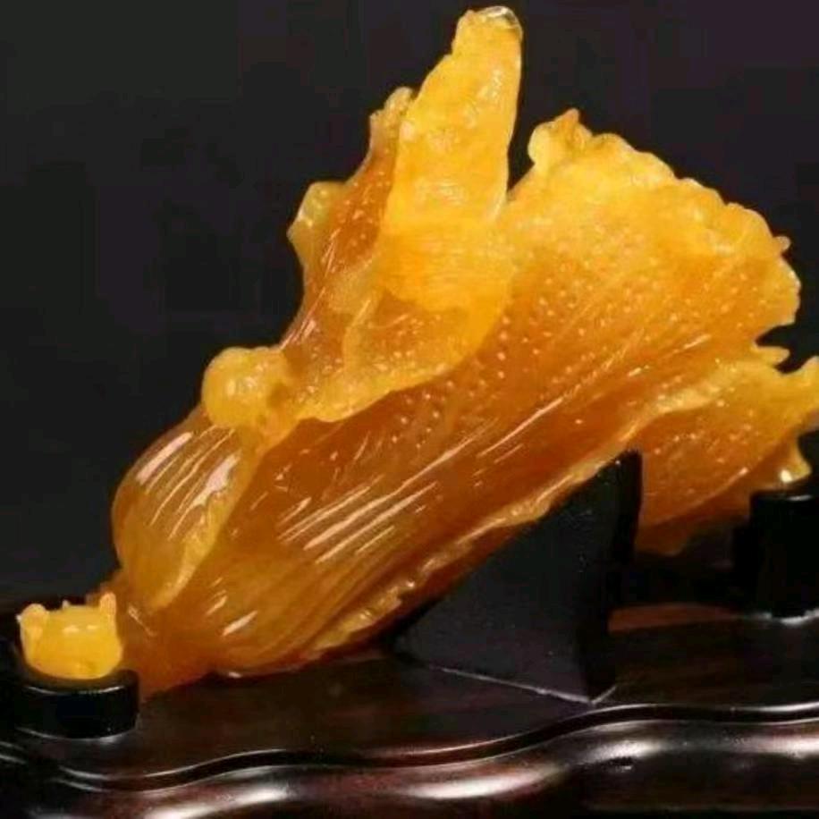 邂逅相遇