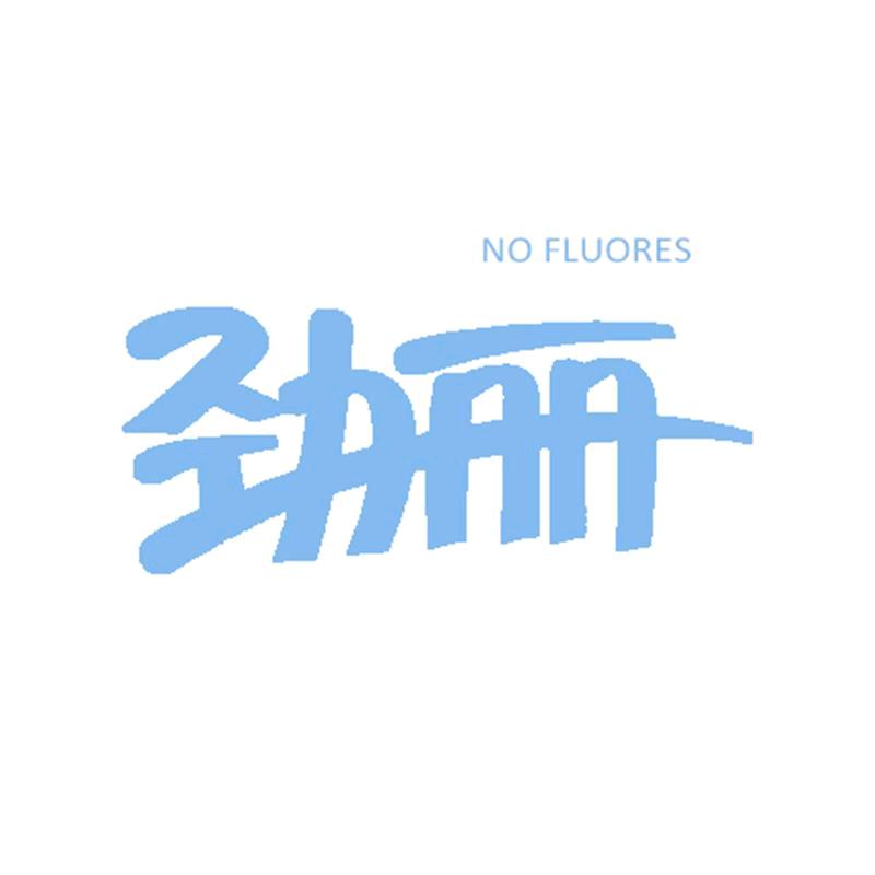 劲丽心佳家居清洁专卖店