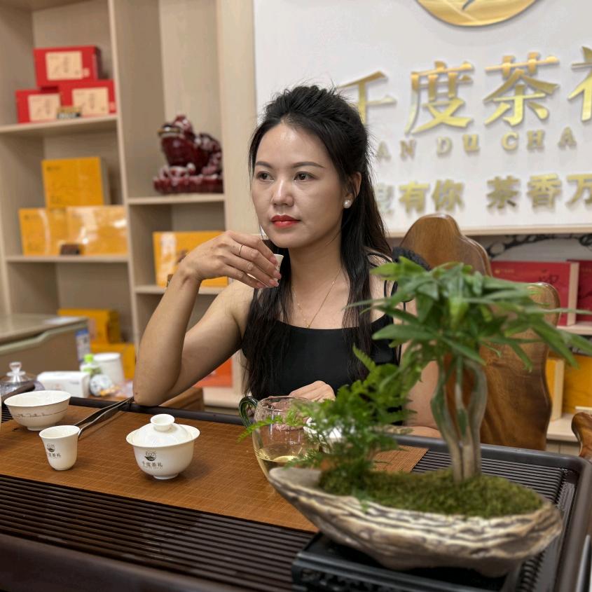 千度众宏