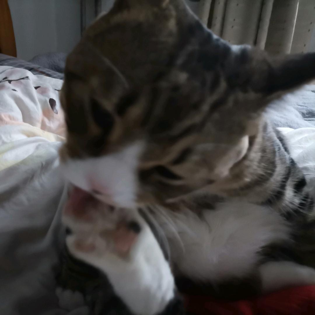 敲敲