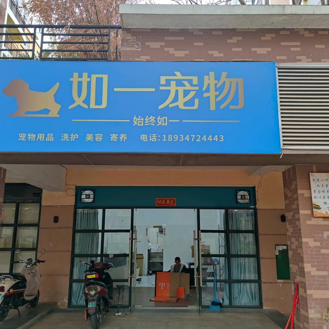 如一宠物阿卓