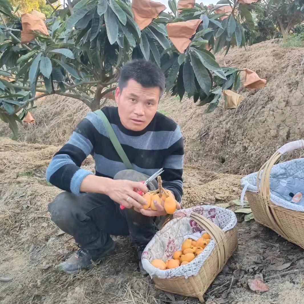 易斌水果