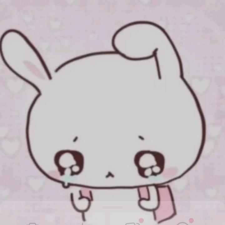 🐰z