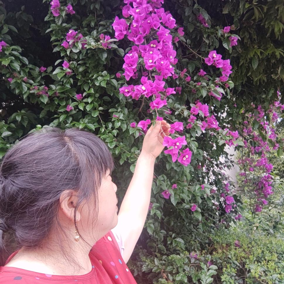 杨玉华