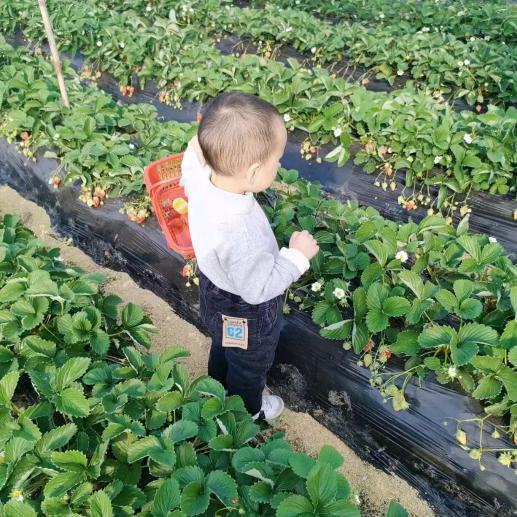 @ღ᭄ꫛ余꧔ꦿ᭄：@A゛༺生高人一邓༻