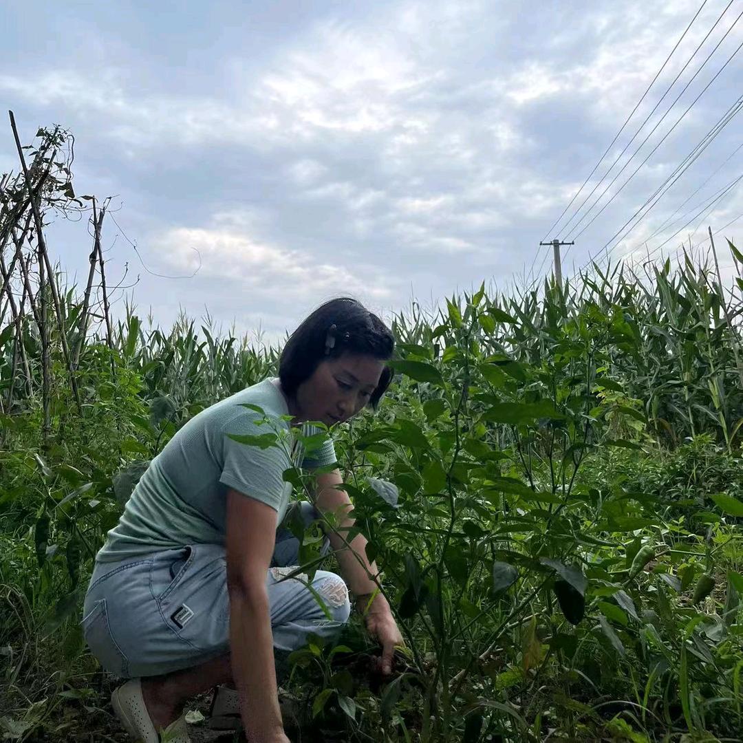 💈爱姐（8元理发）
