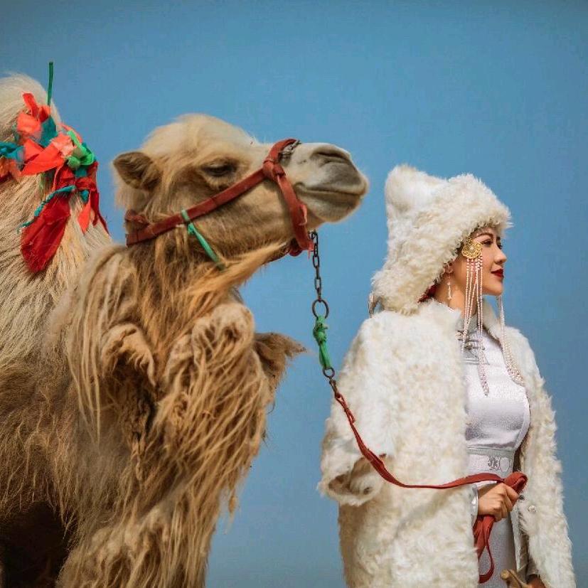 小可馨的阿布🌞🐉