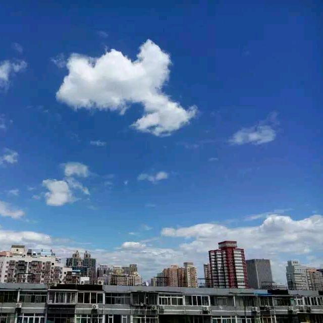 子君