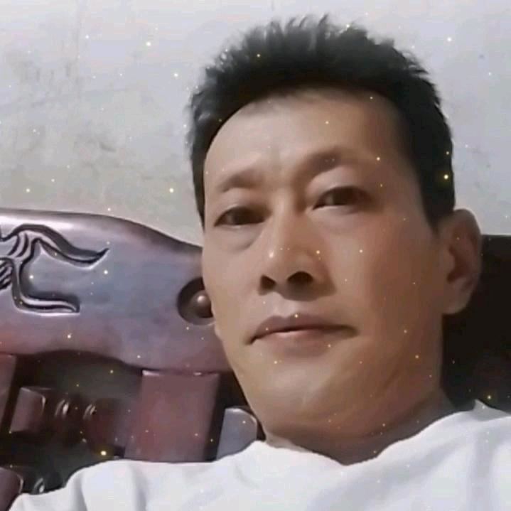 梦林