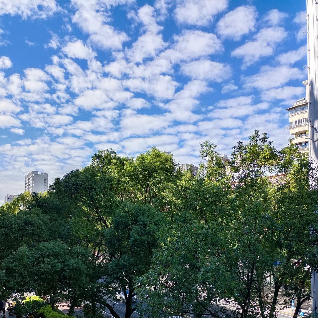 喜又秀