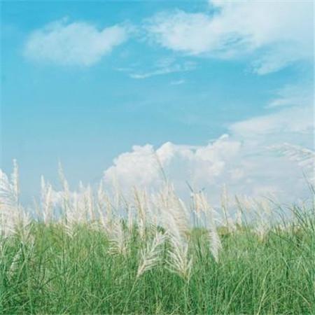 夏星楼