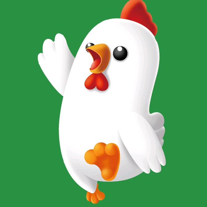 双汇冰鲜鸡