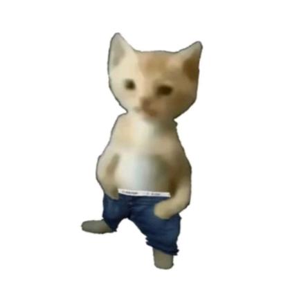天天