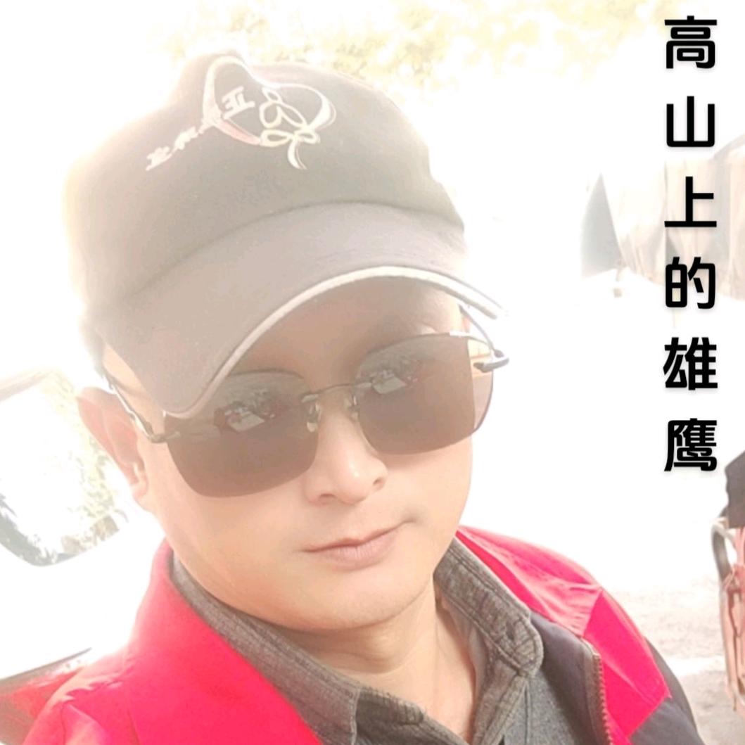 高山上的雄鹰📿