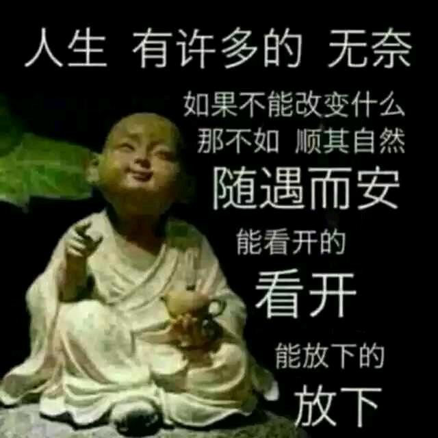 涛哥
