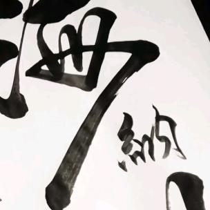 译叔