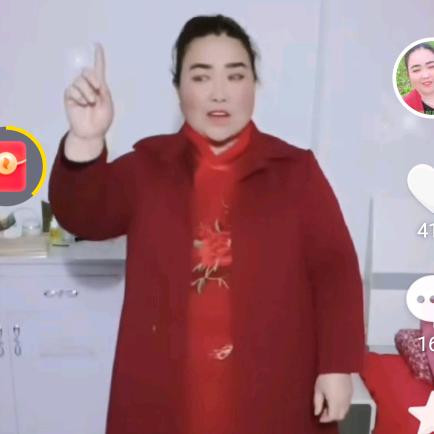 金喜莲二号。