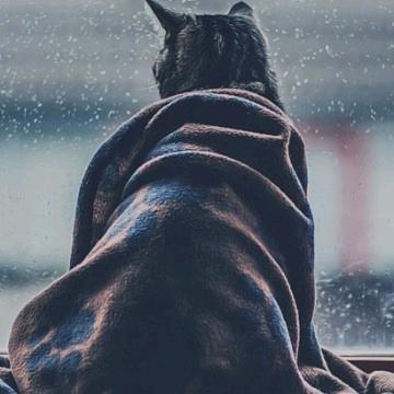 浪