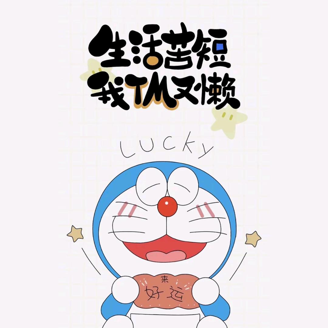 小皓不胖(๑><๑）