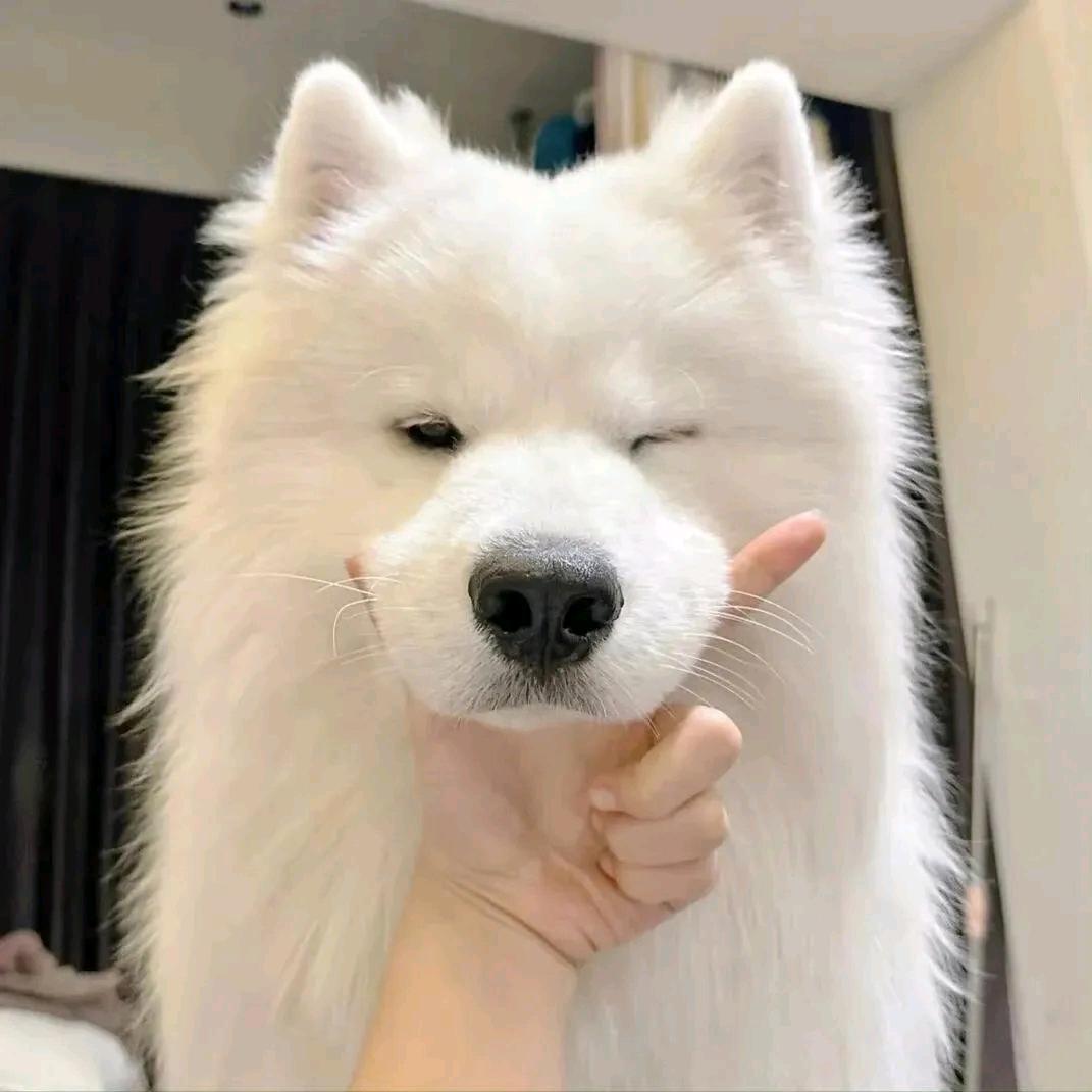筱颖