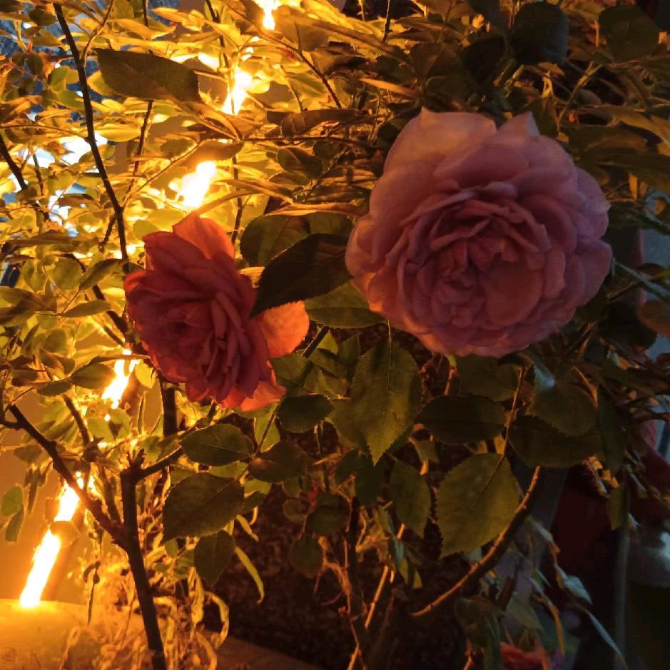等你的季节《拒闲聊》