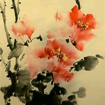 nuan暖
