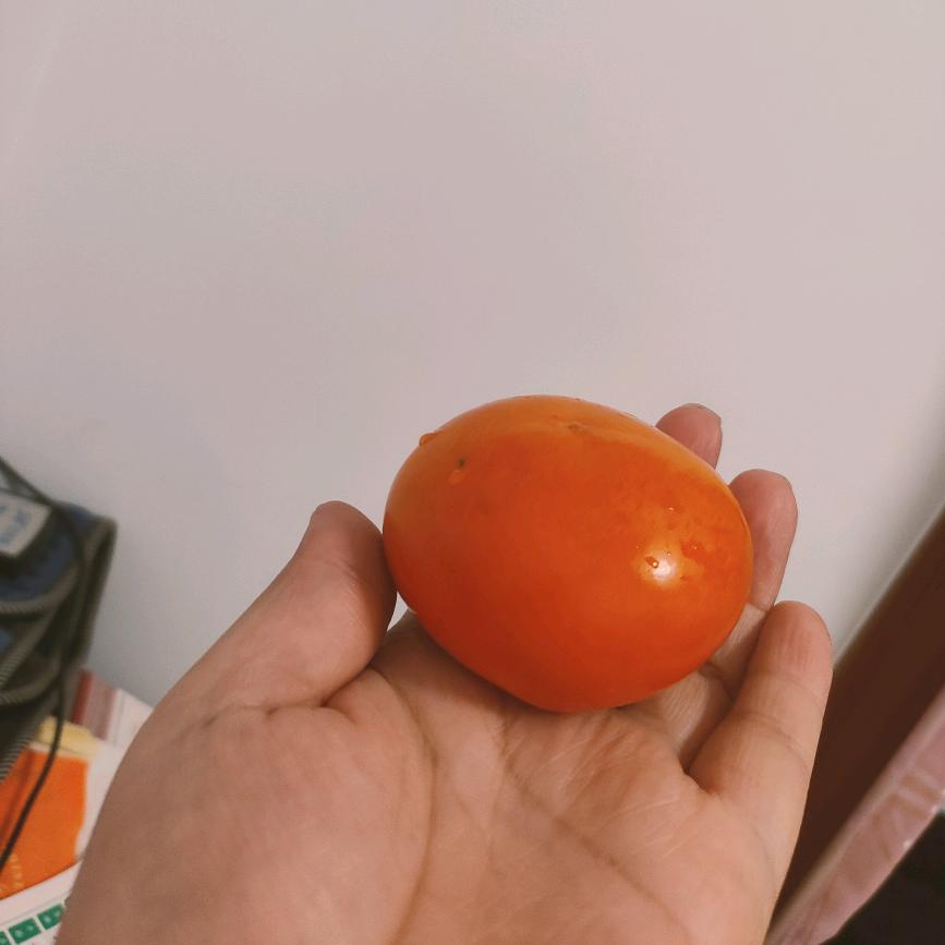 西瓜成子