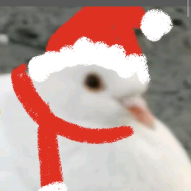 咕咕