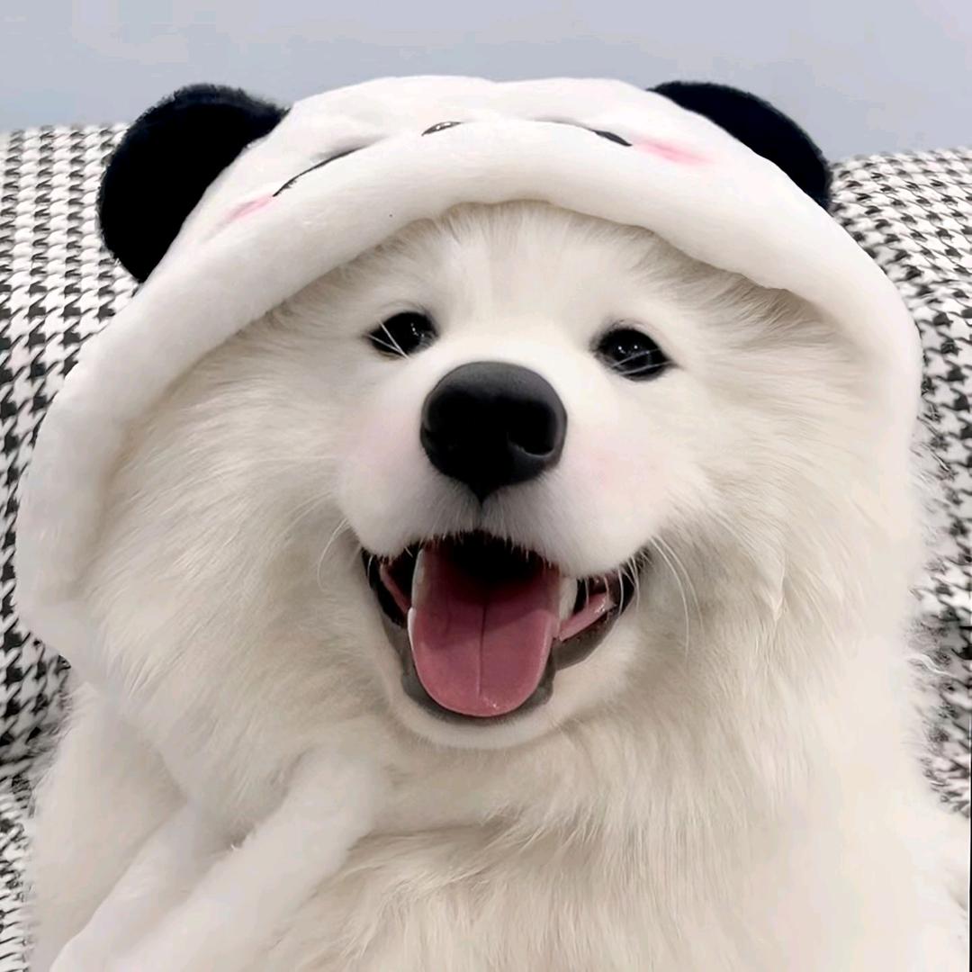 昱小昱🐎