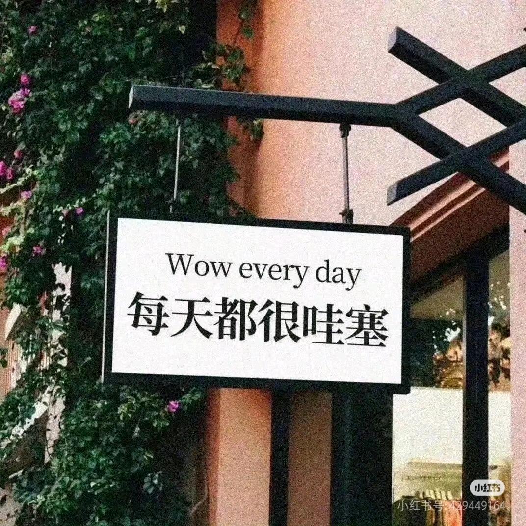 喵喵k⑧