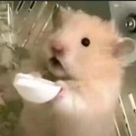 推荐鼠（爱看甜妹）