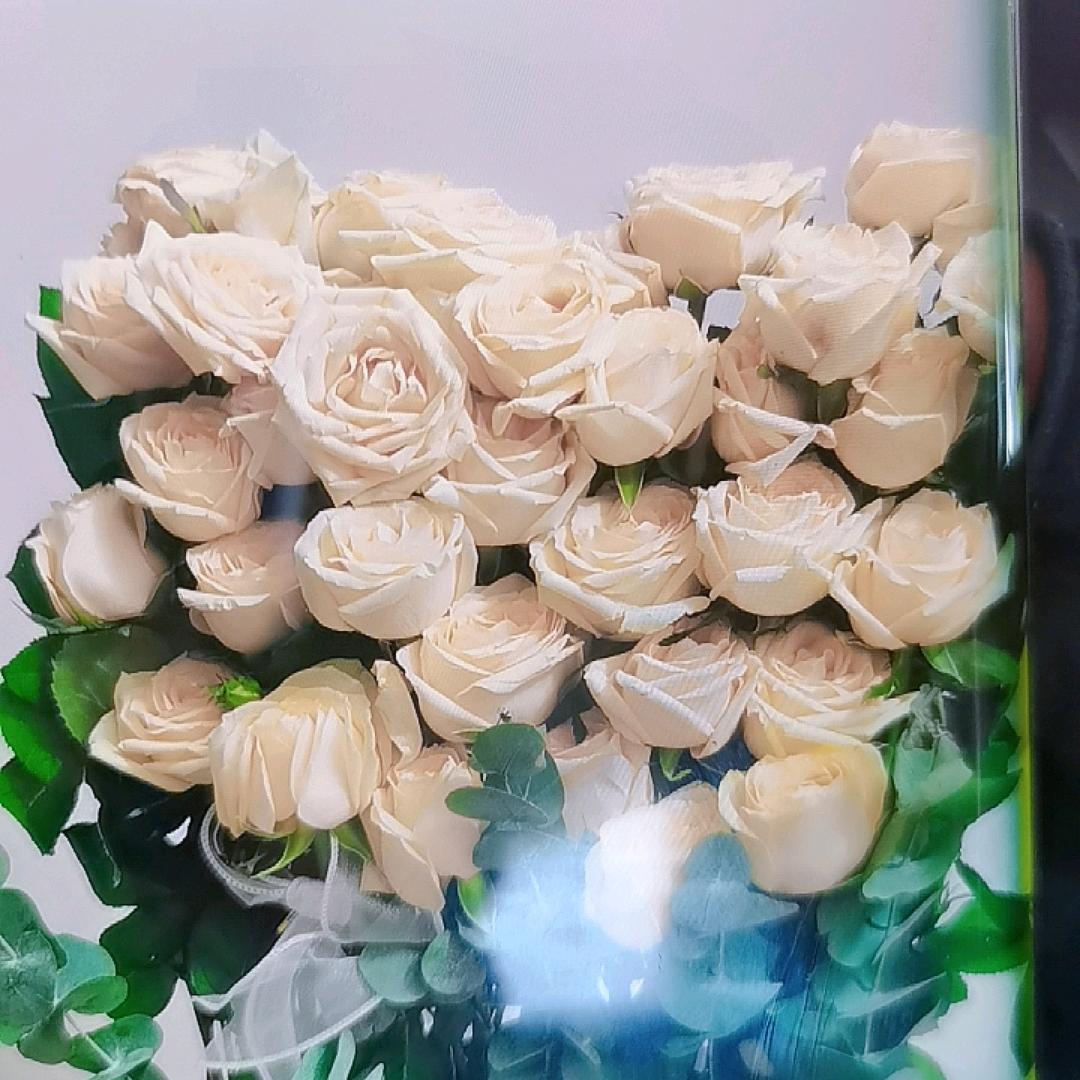 西兰花🥦