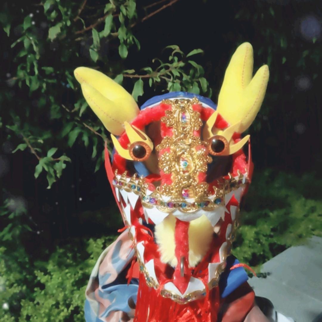 临沂沭水金龙队   健身龙