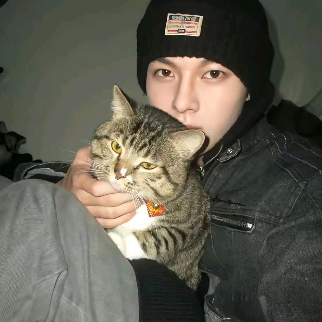 球球大作战小宇