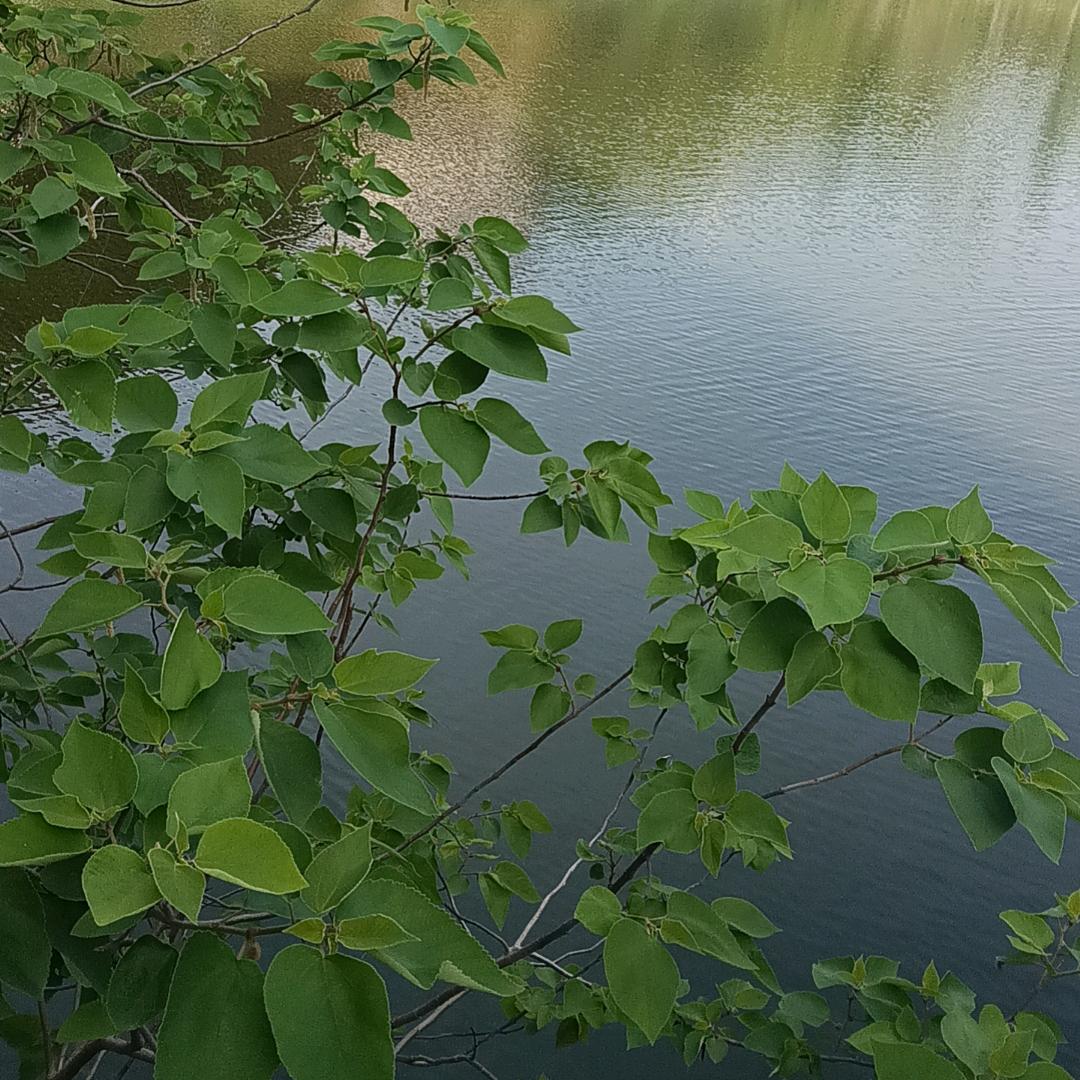 世事无常